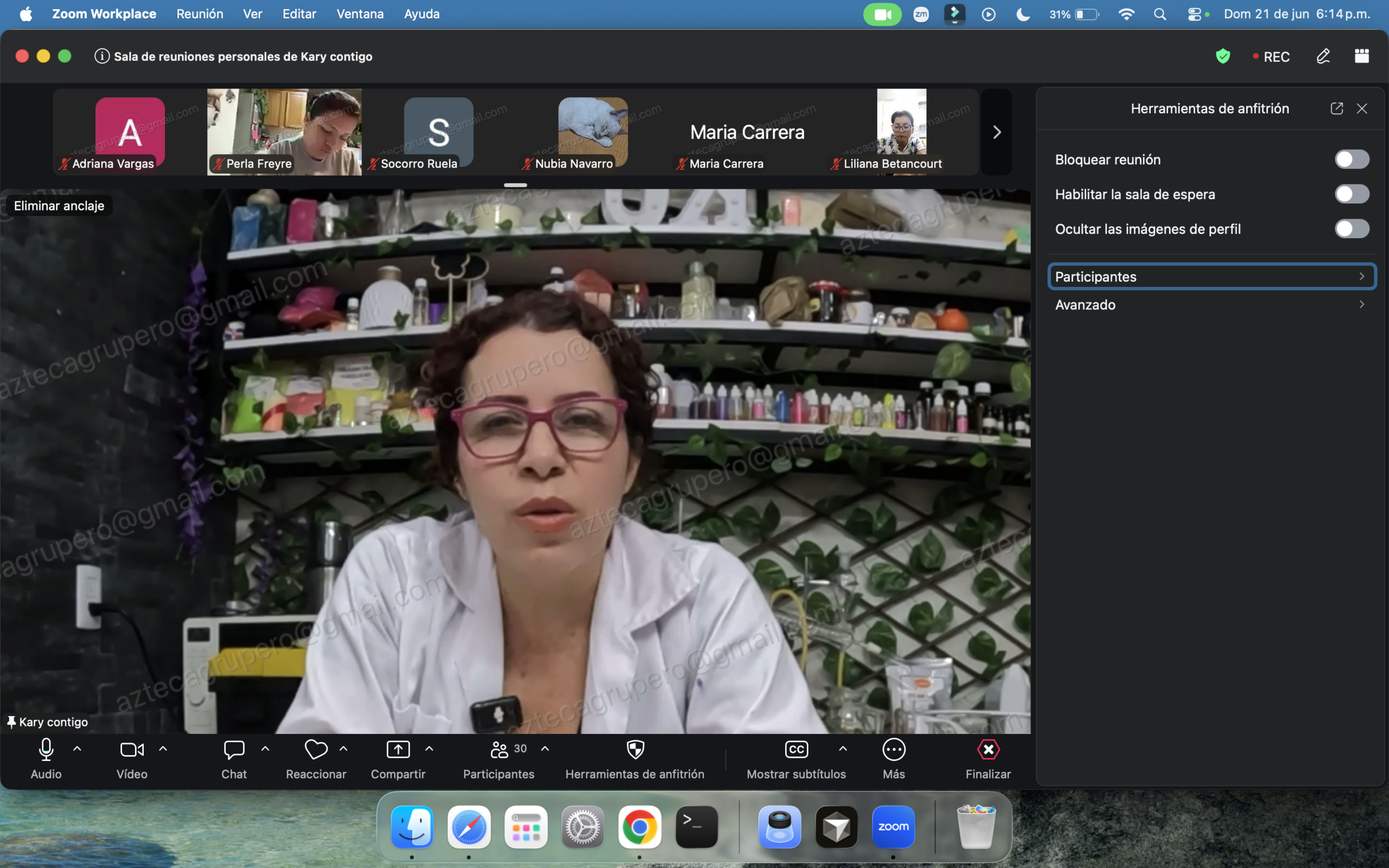 Clase de shampoo artesanal por Zoom con Kary Contigo